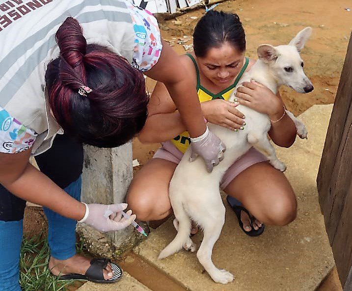 Vigilância ambiental: Saúde alerta para a importância de vacinar cães e gatos contra raiva