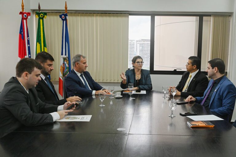 Poderes se unem para combater crimes cibernéticos no Amazonas