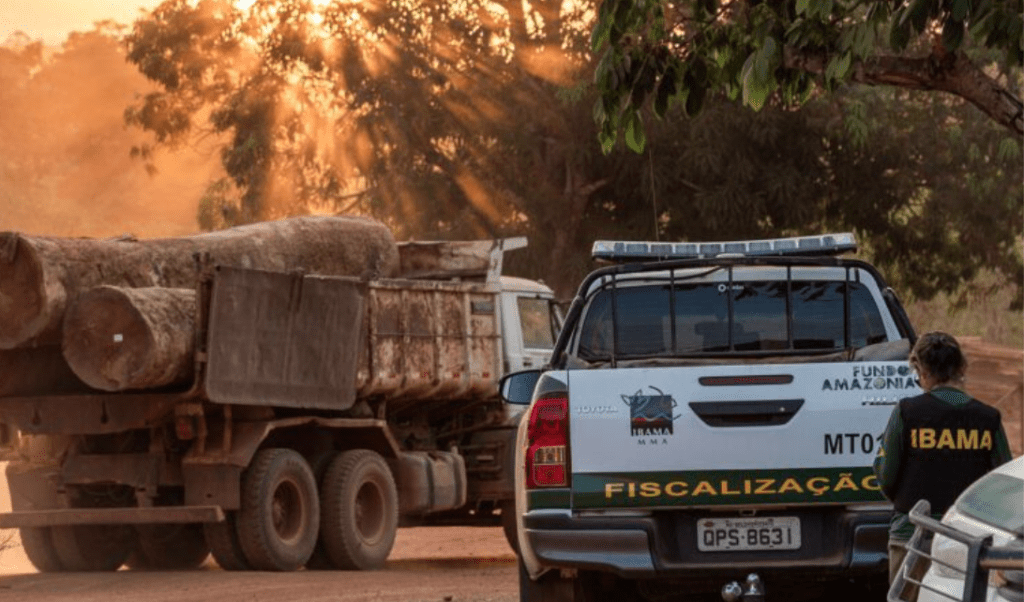 Fundo Amazônia pode destinar R$ 1 bilhão para reforçar segurança na região Portal Remador