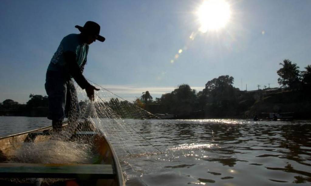 Campanha “Pescador Legal” do Governo Federal será lançada no Amazonas nesta sexta-feira (26) Portal Remador