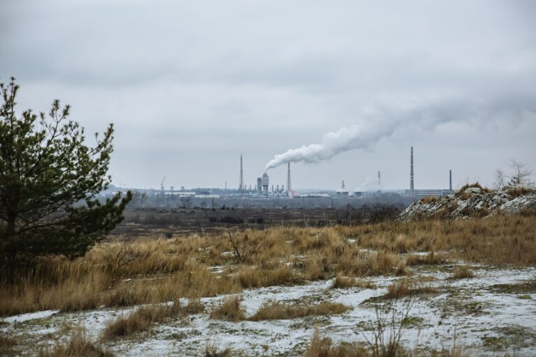 Dia da Sobrecarga da Terra destaca preservação do planeta