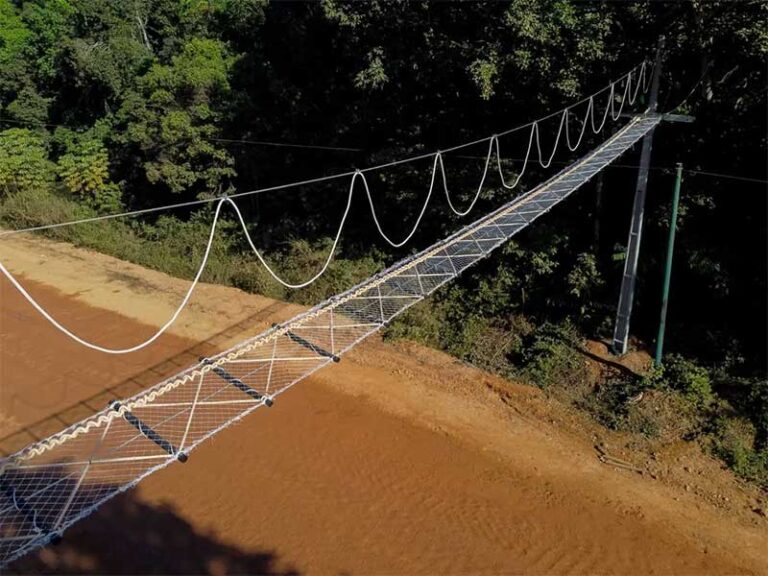 BR-319 recebe a primeira passagem superior de fauna para proteger animais silvestres na Amazônia