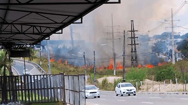 Foco de incêndio em área de vegetação preocupa Manaus Portal Remador