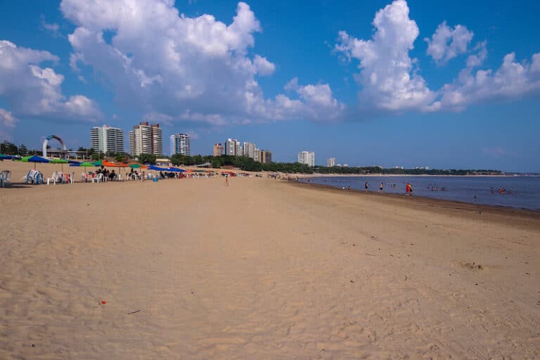 Praia de PontaNegra enfrenta vazante, mas banho livre só até o fim de semana, diz David Almeida. Portal Remador