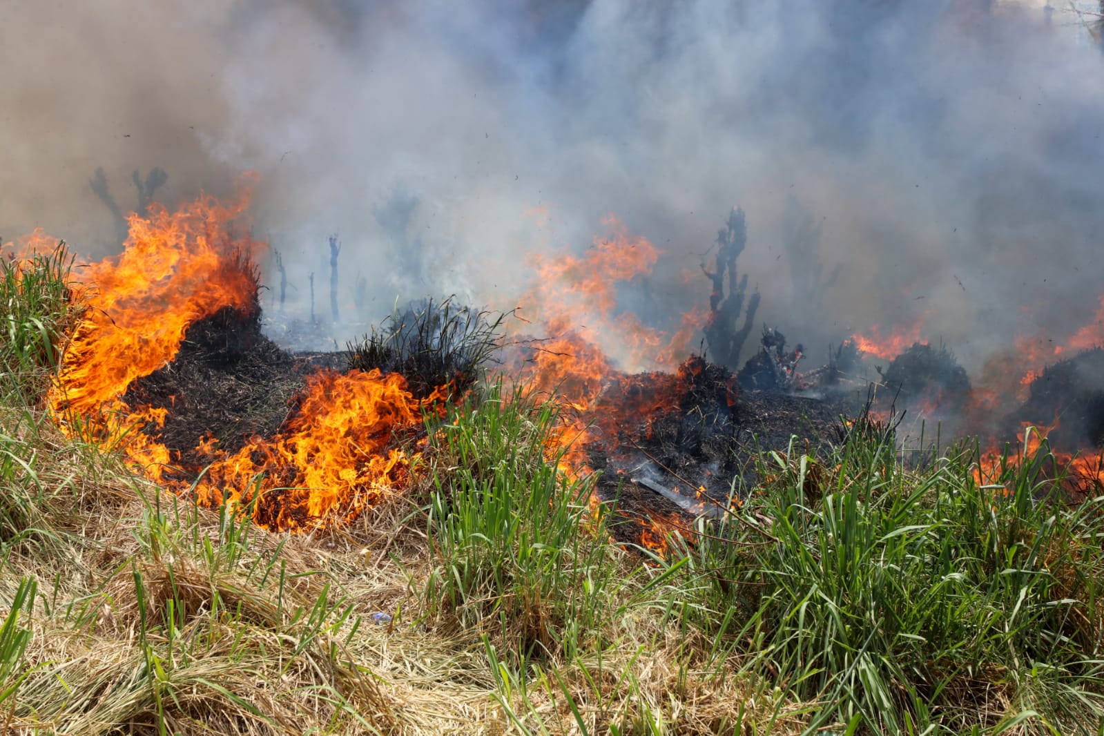 Vídeo - Incêndio em Terreno Baldio Assusta Moradores no Bairro Santo Antônio em Manaus
Portal Remador