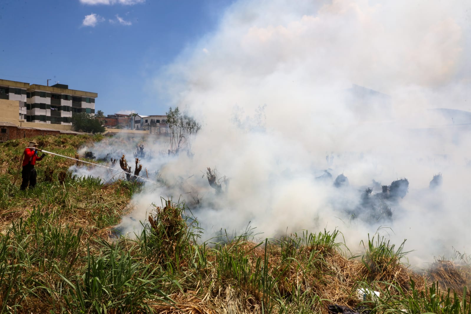 Vídeo - Incêndio em Terreno Baldio Assusta Moradores no Bairro Santo Antônio em Manaus Portal Remador