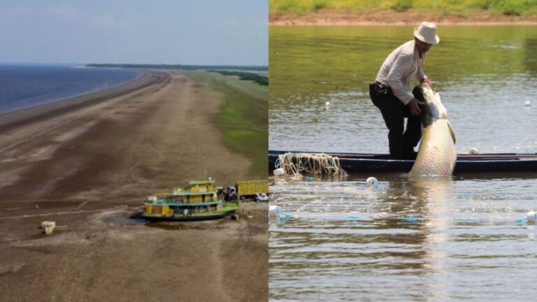 Governo pagará R$ 2.640 a pescadores do Amazonas afetados pela seca, veja quais os municípios Portal Remador