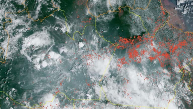 Queimadas no Pará agravam fumaça sobre Manaus Portal Remador