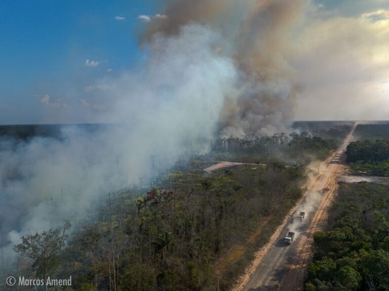 Municípios da BR-319 concentram 40% dos focos de calor durante temporada do fogo no Amazonas