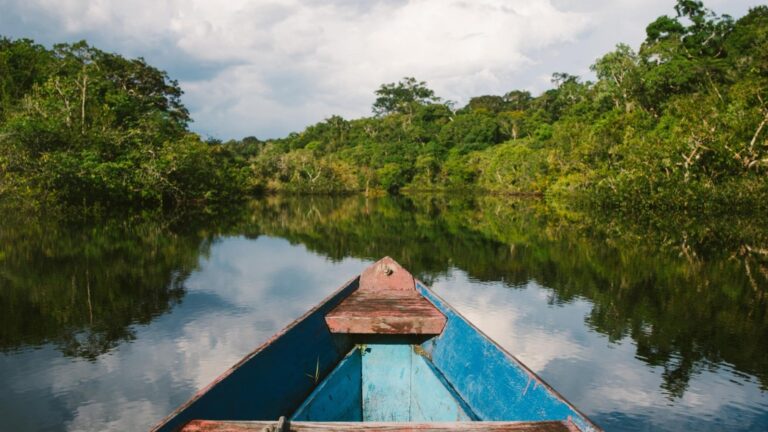 Nilton Lins lança curso superior inédito no Brasil de Biotecnologia Amazônica