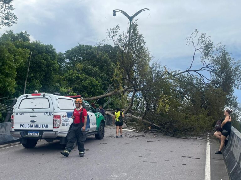 Árvore tomba em Manaus durante chuva forte e atinge carro em movimento 