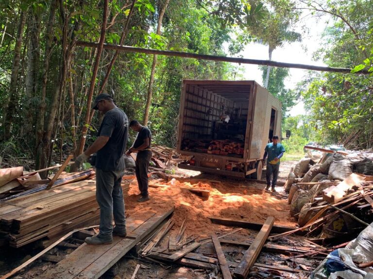 Ipaam apreende madeira e destrói fornos de fabricação de carvão ilegal na Região Metropolitana de Manaus