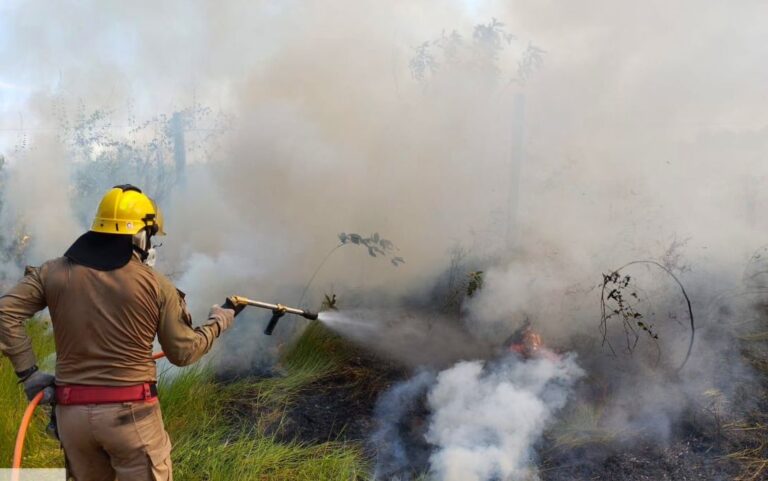 Corpo de Bombeiros combate incêndio em área de vegetação nas proximidades do aeroporto de Manicoré