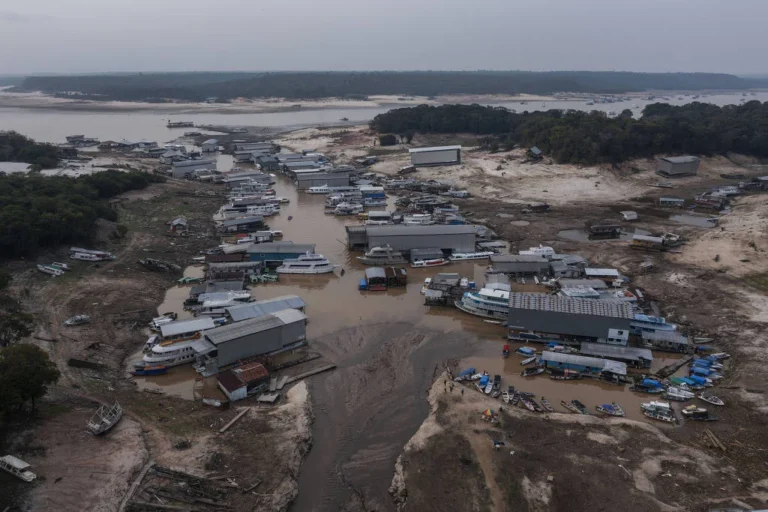 Estiagem severamente afeta Juruá, Purus e Madeira, mas Rio Negro resiste à crise