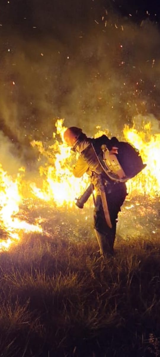 Informe IBAMA-AM: Atuação contra queimadas e incêndios florestais.