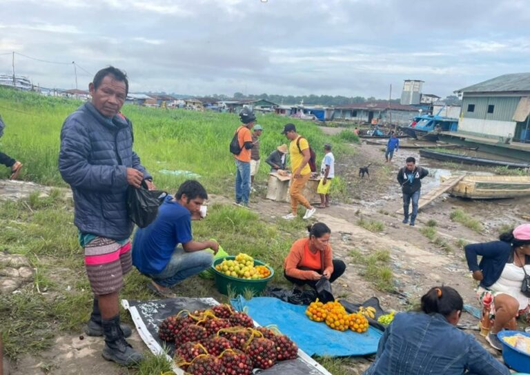 O 'ouro da amazônia' é aposta para a indústria alimentícia