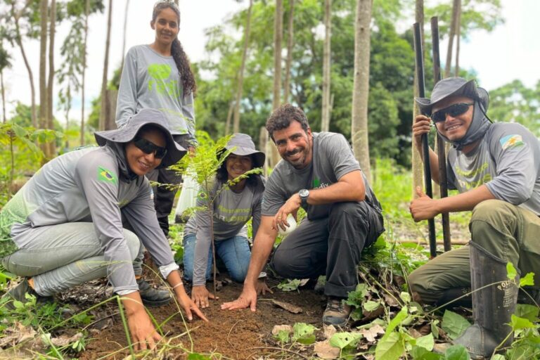 Radix aplica expertise em recuperação da Amazônia para ingressar no mercado de carbono