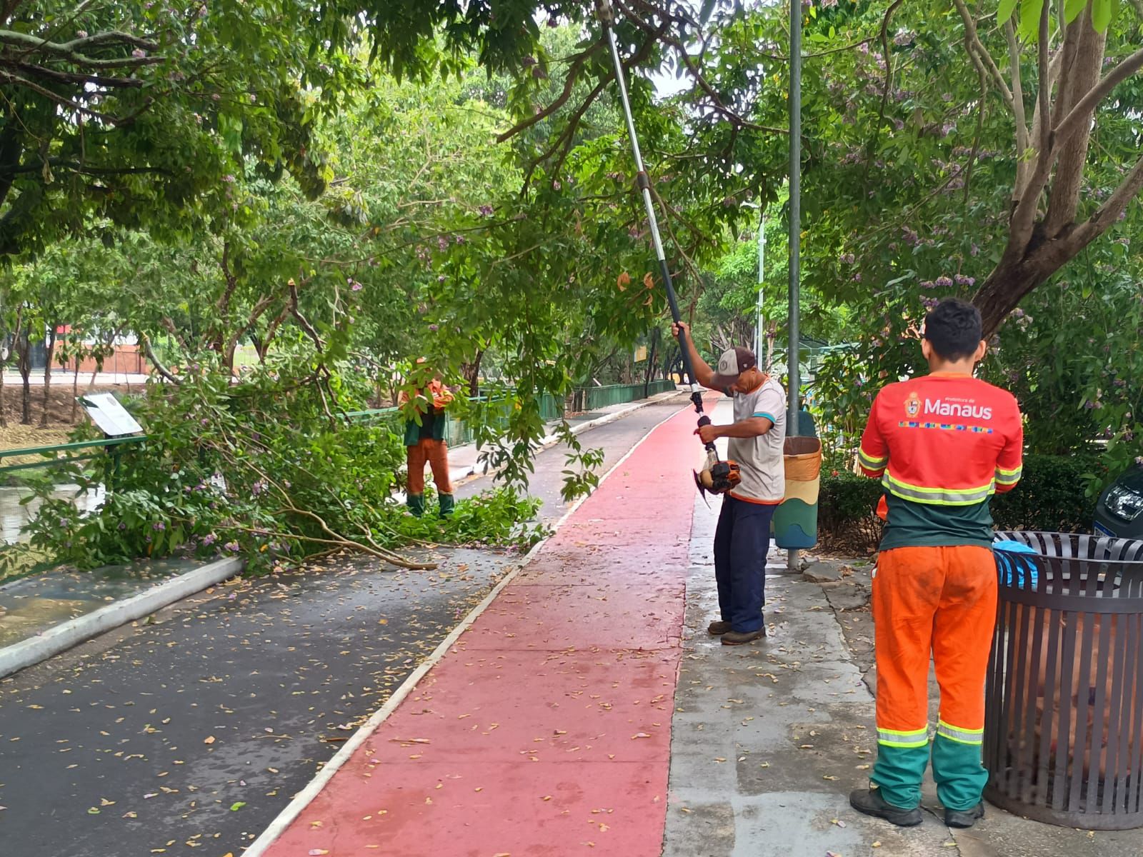 Prefeitura realiza poda de árvores no passeio do Mindu para melhorar segurança e visibilidade