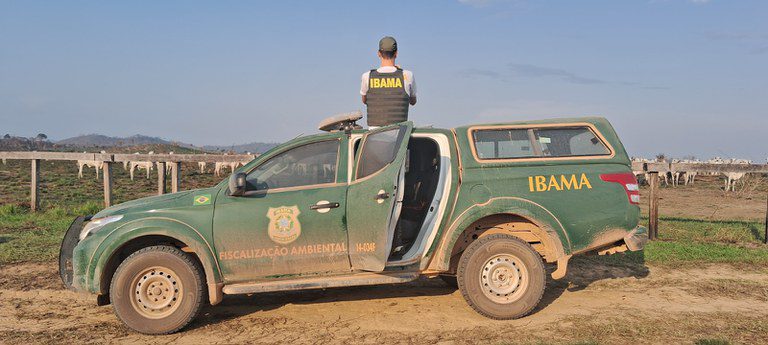 Frigoríficos compravam gado produzido em áreas embargadas, diz IBAMA