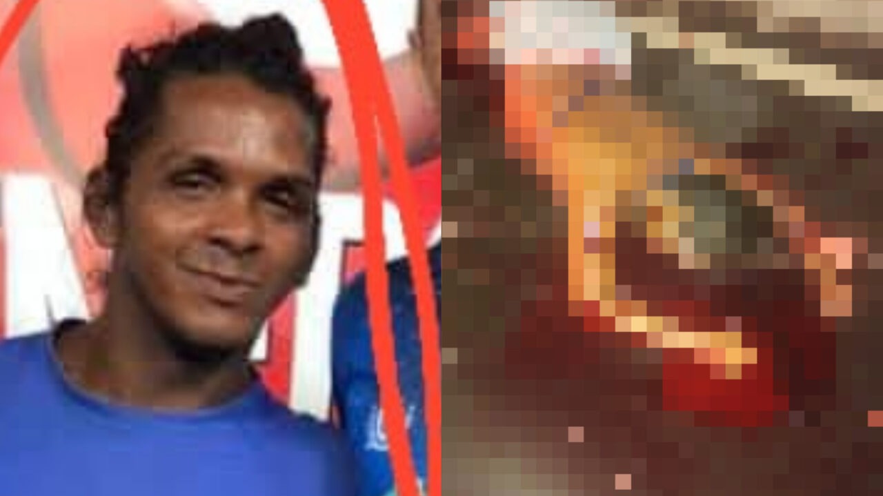 ‘Buiu a Bonita’ morre atropelada na estrada da Ponta Negra, em Manaus