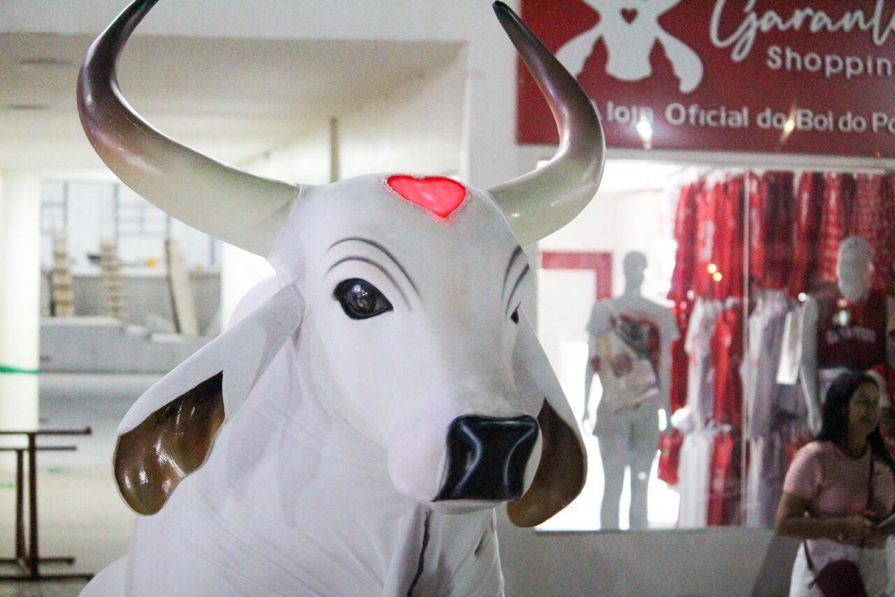 Carnaboi Vermelho e Branco estreia em grande estilo na Cidade Garantido - Portal Remador