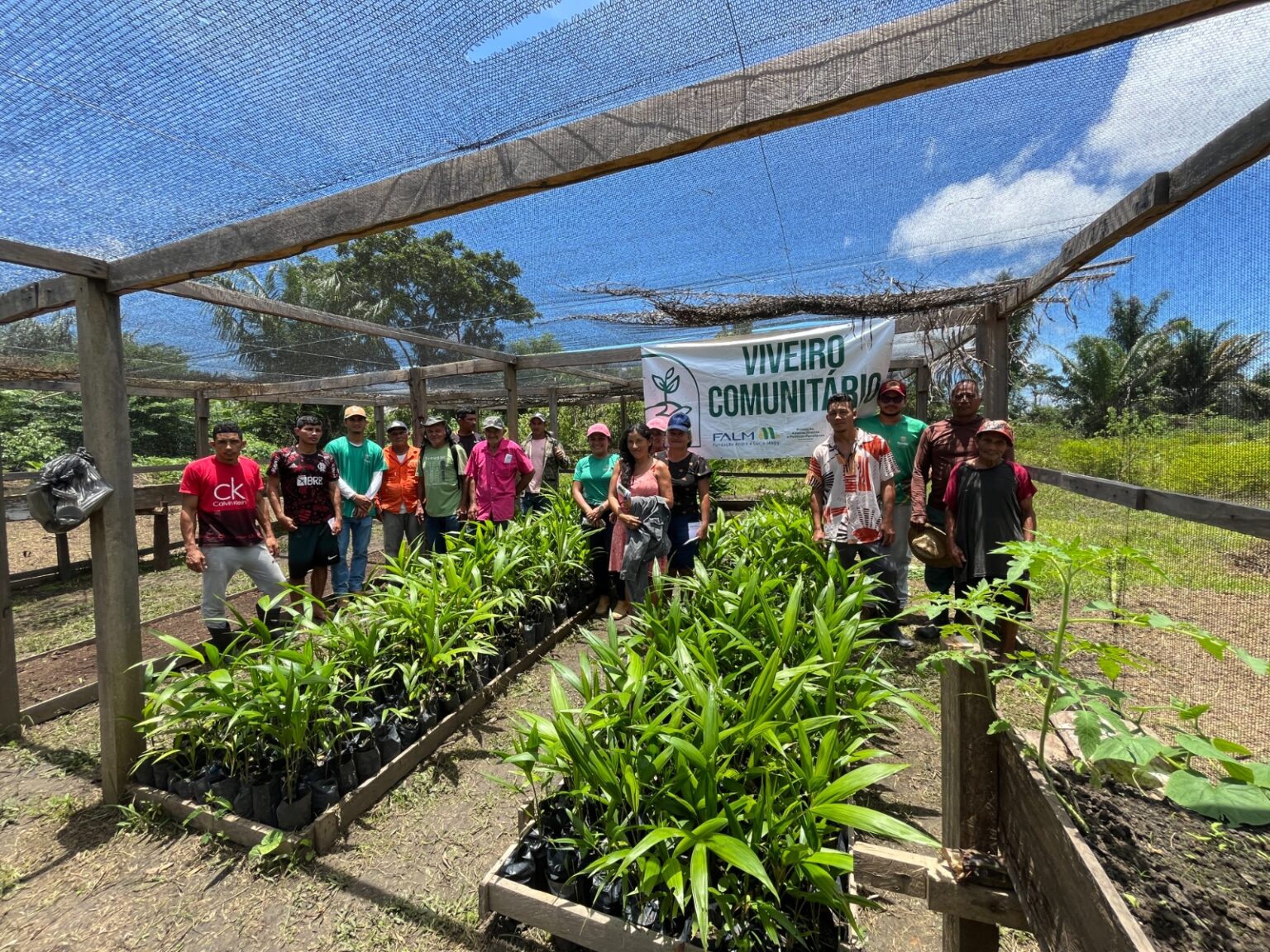 Itacoatiara impulsiona produção de açaí com projeto de viveiros comunitários