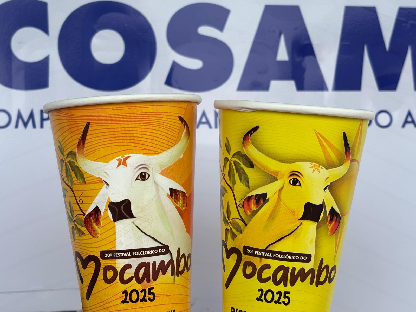 Cosama instala máquinas purificadoras de água para atender ao público do 20° Festival Folclórico do Mocambo do Arari