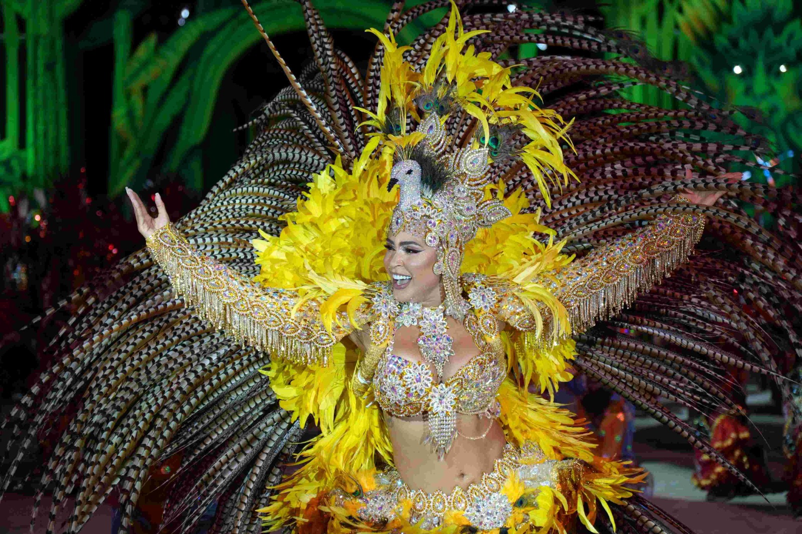 Cores, tecnologia e resistência marcam espetáculo da Ciranda Tradicional em Manacapuru