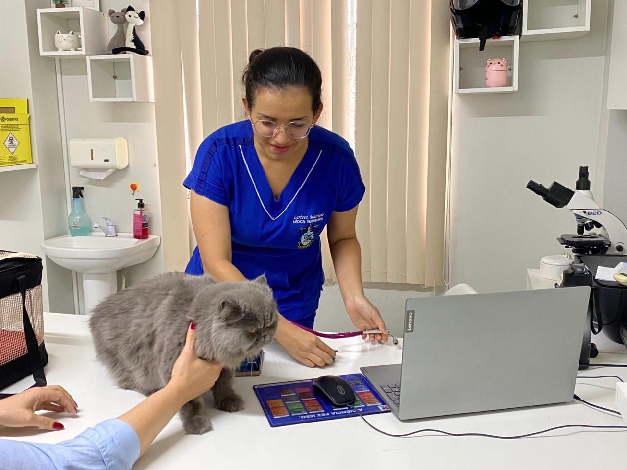 Castração salva vidas: veterinária de Manaus alerta sobre riscos graves para gatos não castrados