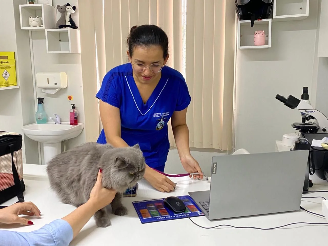 Castração salva vidas: veterinária de Manaus alerta sobre riscos graves para gatos não castrados Castração salva vidas: veterinária de Manaus alerta sobre riscos graves para gatos não castrados