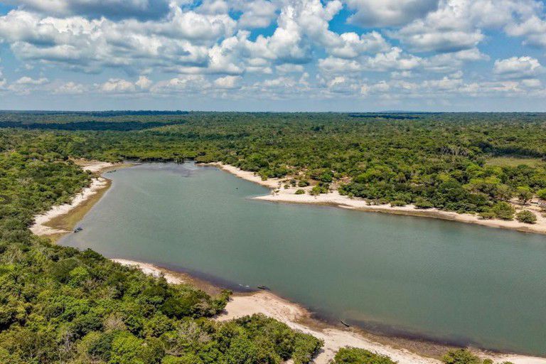 Presidente celebra menor índice de desmatamento em Unidades de Conservação na Amazônia desde 2008