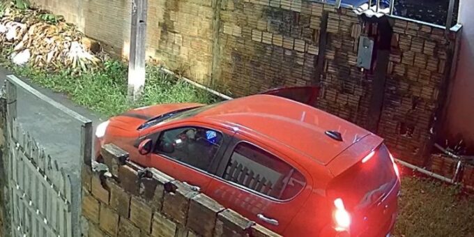 Câmeras registram abandono de três cães no Puraquequara e caso gera revolta em Manaus