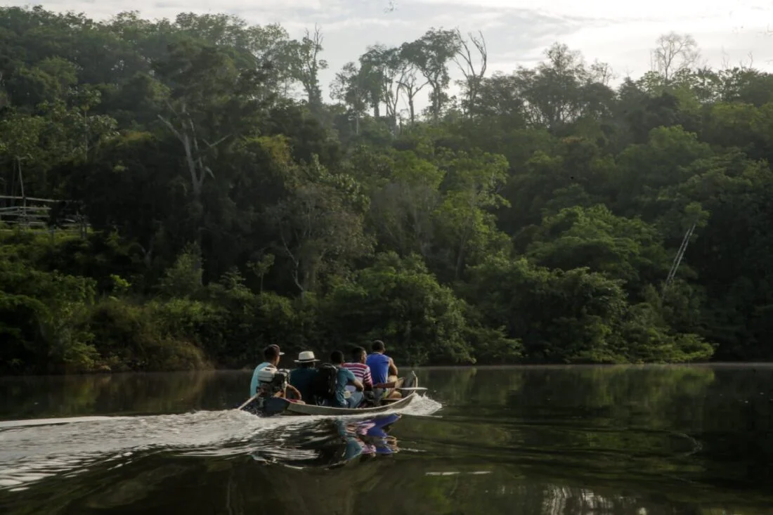  Conexsus lança edital para fomentar inovação na sociobioeconomia amazônica em parceria com a Embrapii 