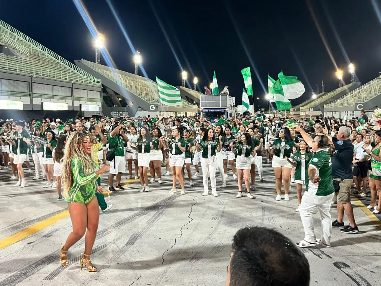 Reino Unido da Liberdade mostra perfeição técnica durante ensaio em Manaus