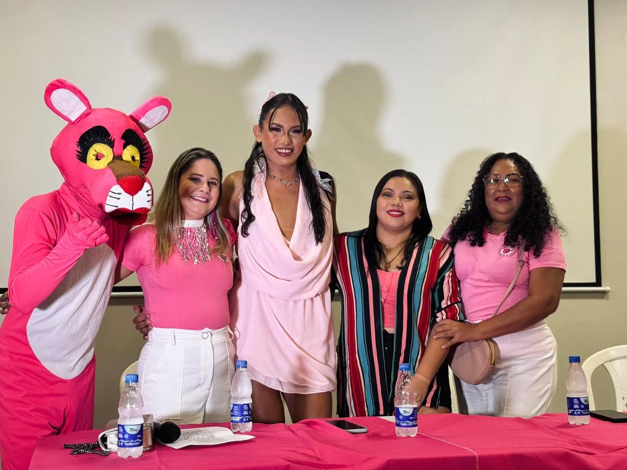 Pantera Cor de Rosa lança tema para o Carnailha 2026 e anuncia diretoria feminina