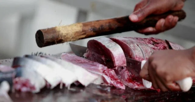 Itacoatiara registra três novos casos da Síndrome de Haff; Fundação de Vigilância em Saúde (FVS-AM) monitora situação após pacientes apresentarem dores intensas e níveis elevados de enzimas musculares.