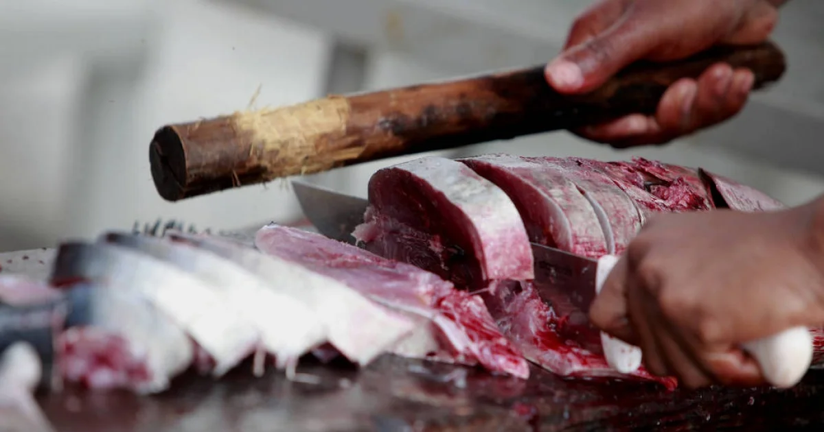 Casos de “Doença da Urina Preta” são confirmados após consumo de Pacu