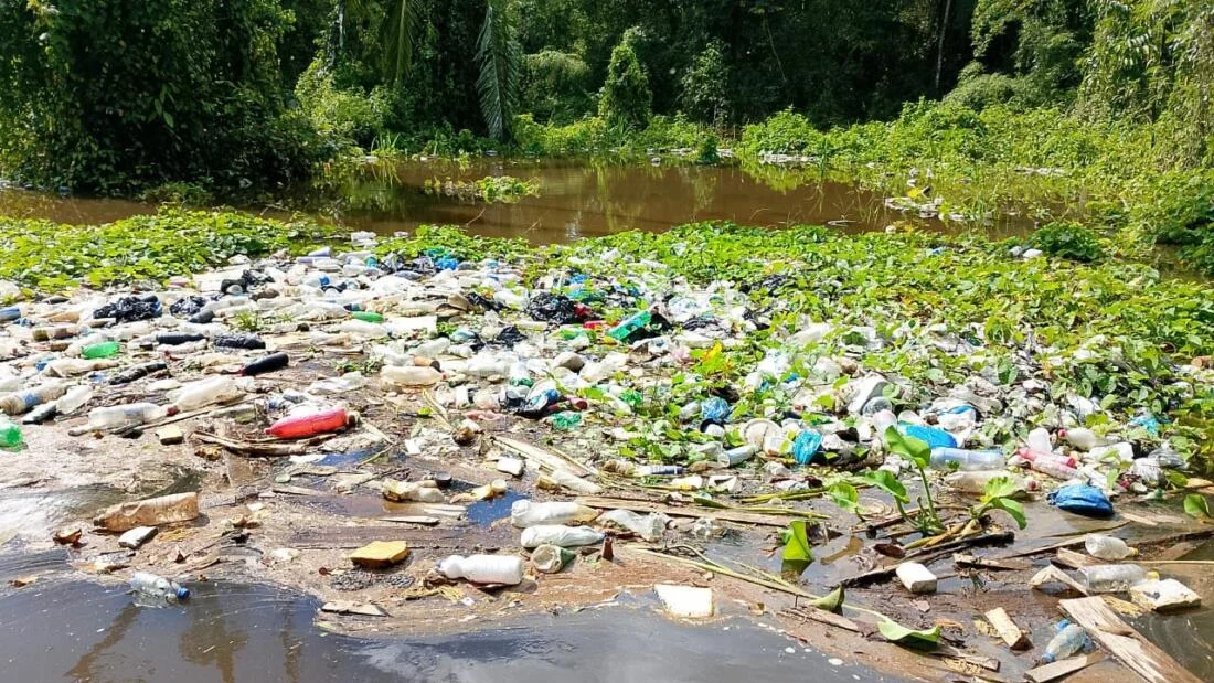 Dez meses após denúncia ambiental, lixo continua sendo descartado em área alagada de Anamã (AM) - Portal Remador