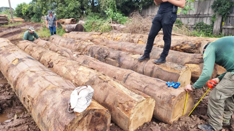 Mato Grosso lidera a indústria madeireira na Amazônia, com oportunidades de expansão do manejo e da rastreabilidade