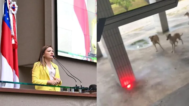 Após denúncia, deputada Joana Darc cobra punição por maus-tratos contra cães comunitários em Vila Militar de Manaus
