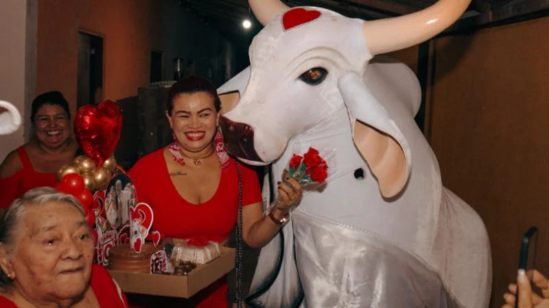 Boi Garantido leva fé, rosas e tradição às ruas de Parintins na Ladainha de Santo Antônio