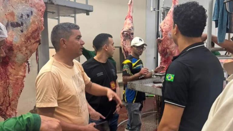 Fiscalização detectou ausência de pistola de insensibilização, falhas na higienização das instalações e estrutura de refrigeração insuficiente