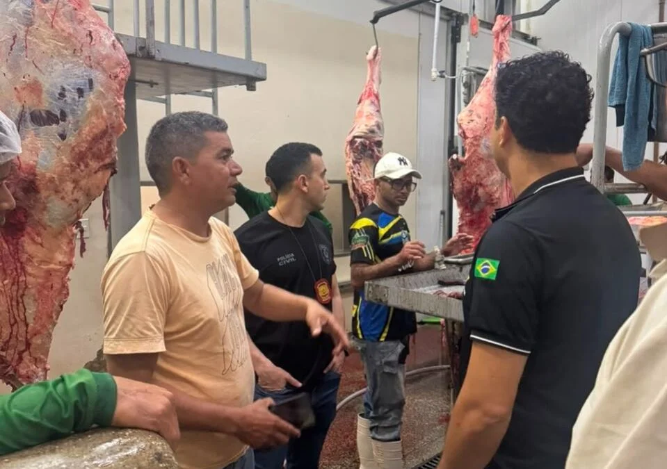 Fiscalização detectou ausência de pistola de insensibilização, falhas na higienização das instalações e estrutura de refrigeração insuficiente