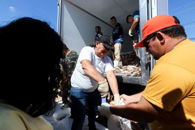 Prefeitura de Manaus distribui 60 mil peixes do programa ‘Jaraqui da Gente’ e beneficia mais de três mil pessoas na zona Oeste