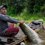 Rodada de Negócios do Pirarucu conecta comunidades ribeirinhas da Amazônia a empresas em Tefé (AM), no dia 27