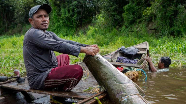 Rodada de Negócios do Pirarucu conecta comunidades ribeirinhas da Amazônia a empresas em Tefé (AM), no dia 27