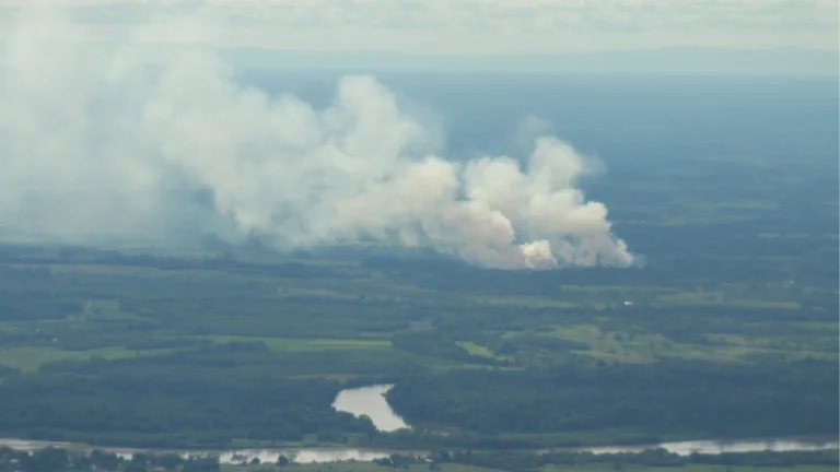 O que a Amazônia espera com a chegada do El Niño 