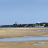 Rio Negro alcança 26,55 m em Manaus, mas segue dentro da faixa de normalidade