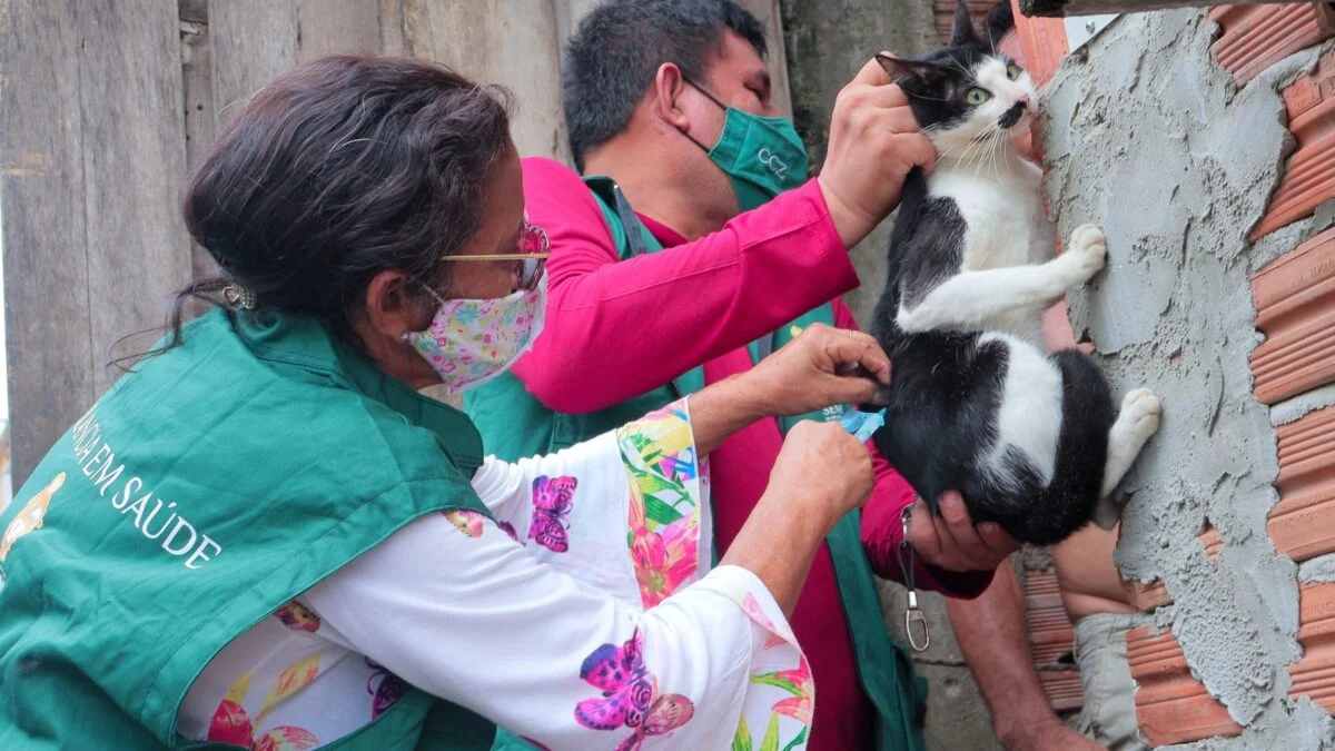 Campanha de vacinação antirrábica 2026 da prefeitura já atendeu 140 mil animais em Manaus e segue até 30 de novembro