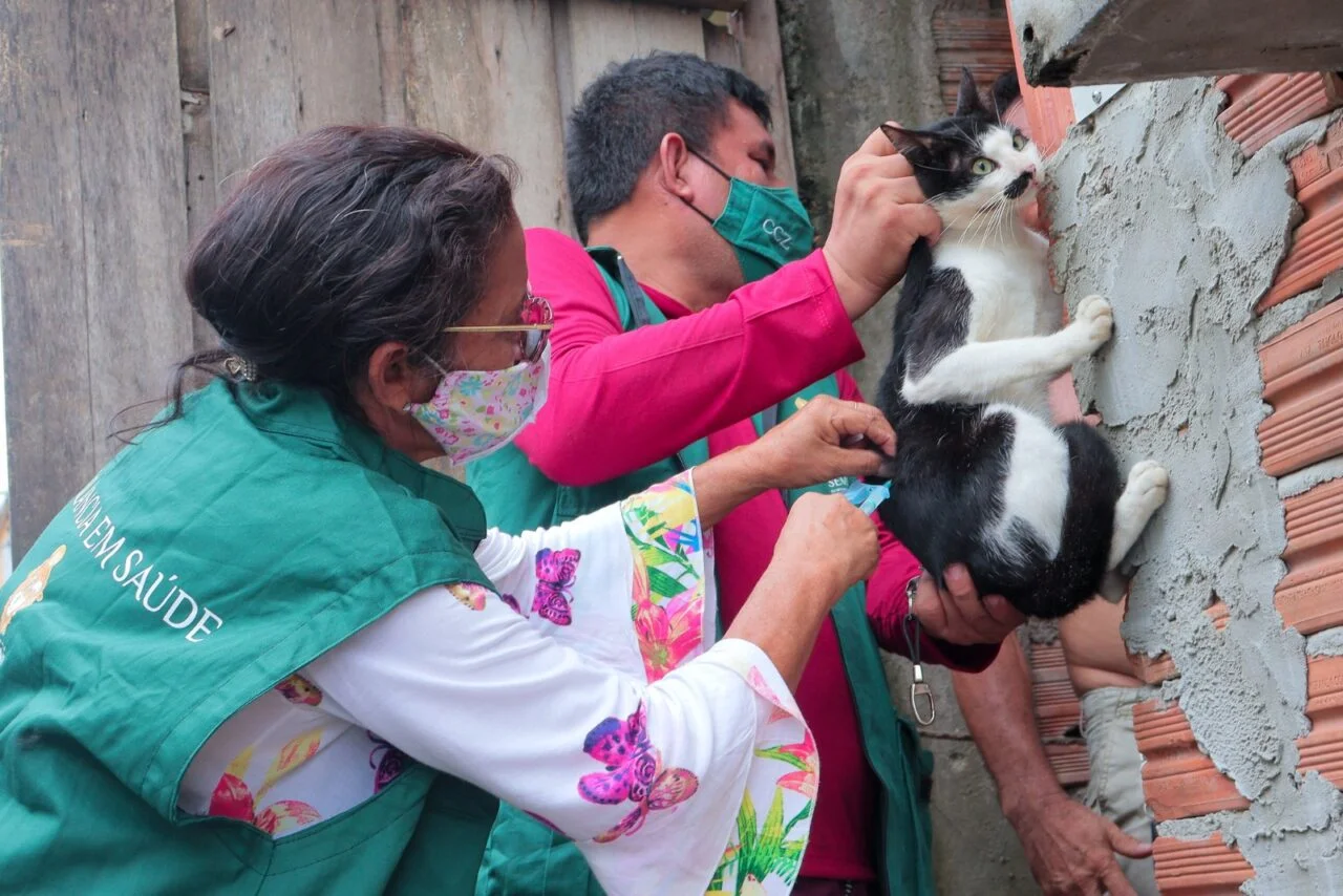 Campanha de vacinação antirrábica 2026 da prefeitura já atendeu 140 mil animais em Manaus e segue até 30 de novembro